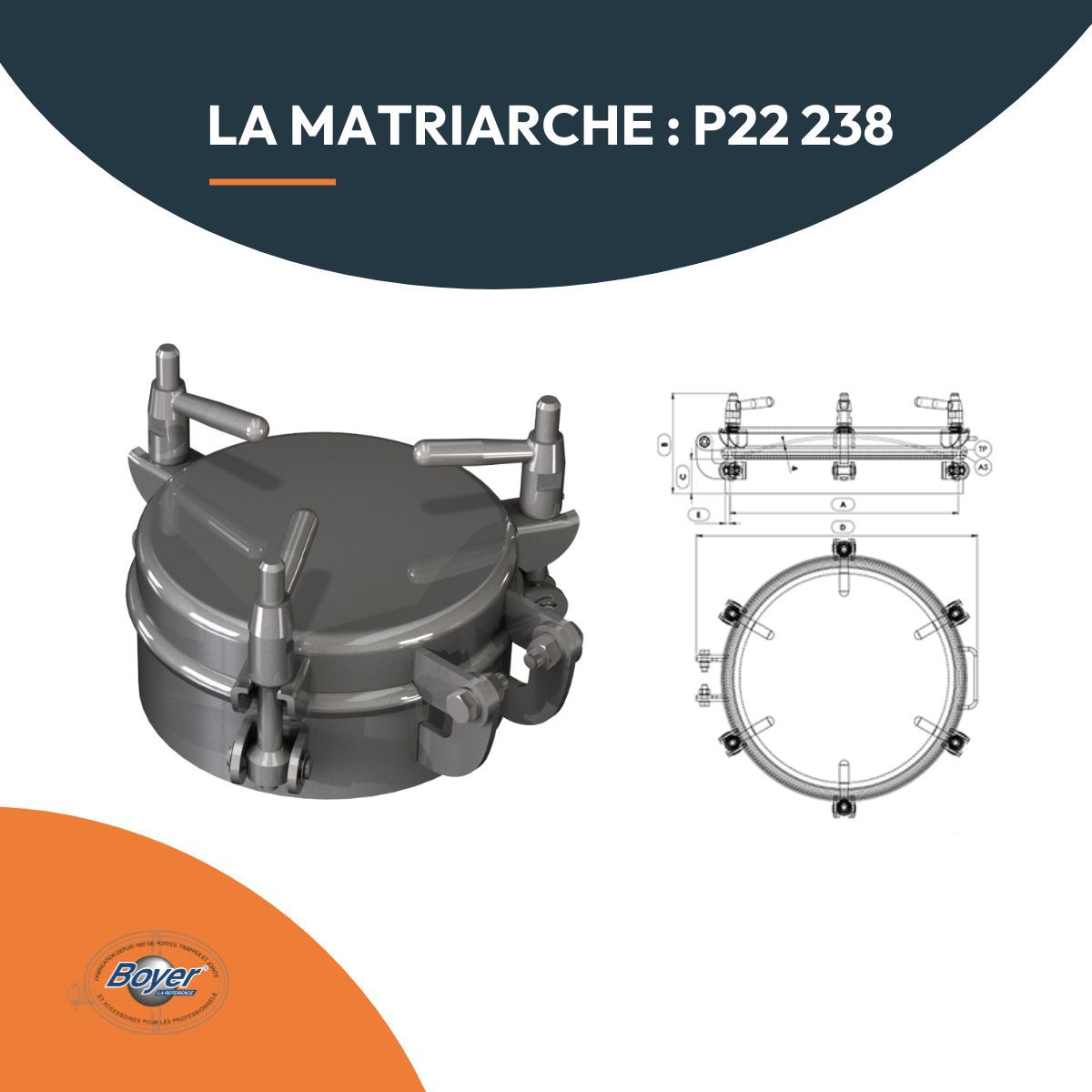 The Matriarch: P22 238